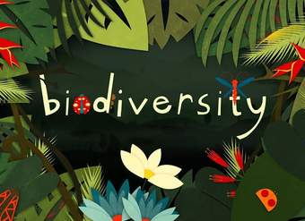 Why is biodiversity so important? - Kim Preshoff