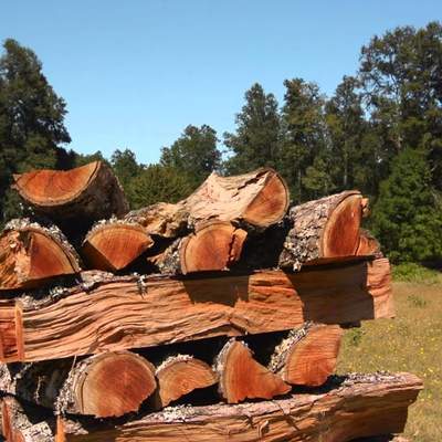 Deforestación y degradación de bosques