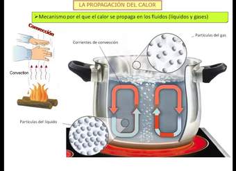 Propagación del calor
