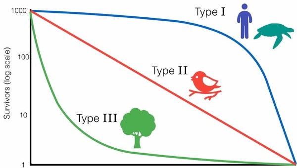 Population Ecology