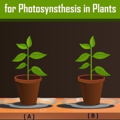 Carbon Dioxide is necessary for Photosynthesis in Plants with Simple Experiment