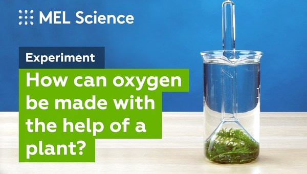 "Photosynthesis" experiment (How to make oxygen at home)