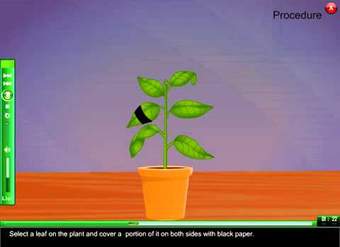 To Demonstrate that light is necessary for photosynthesis e learning science