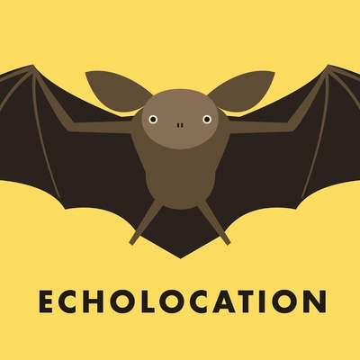 Echolocation