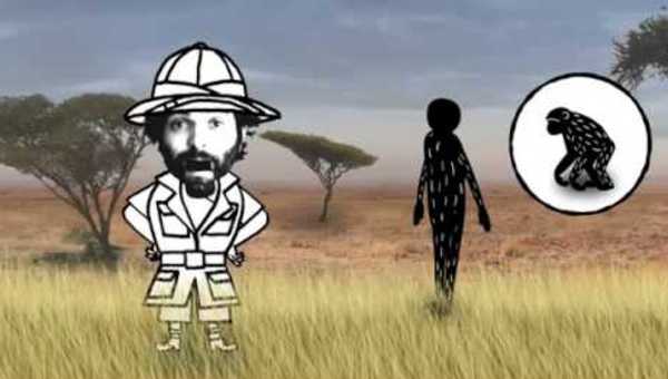 Evolución humana: del árbol al suelo