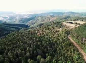 Video Degradacion del Bosque Nativo en Chile
