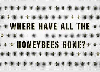 The case of the vanishing honeybees - Emma Bryce