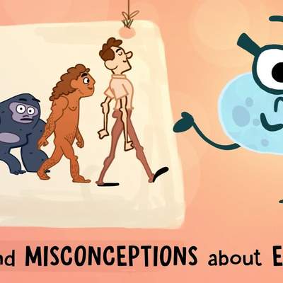 Myths and misconceptions about evolution - Alex Gendler