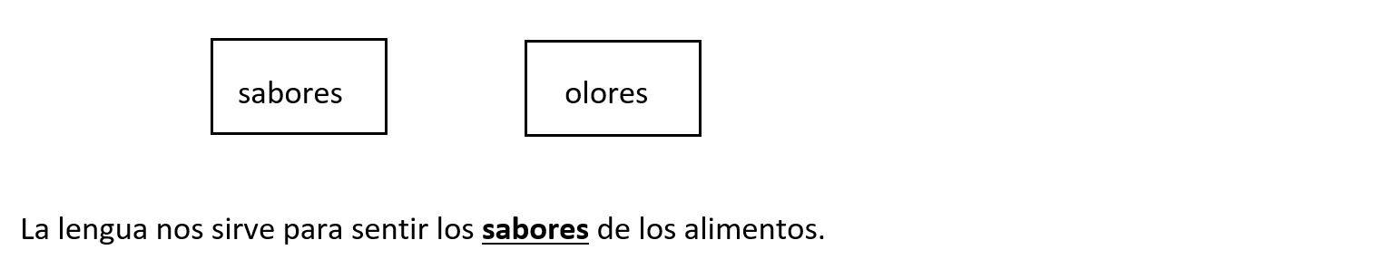 respuesta