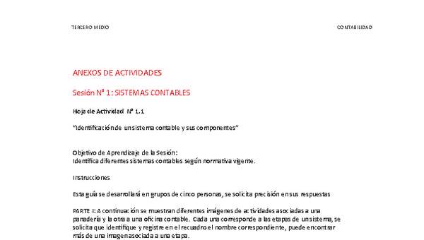 Anexo Control y procesamiento de información contable