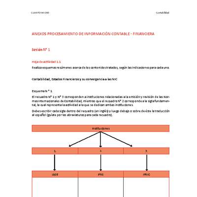 Anexo Procesamiento de información contable financiera