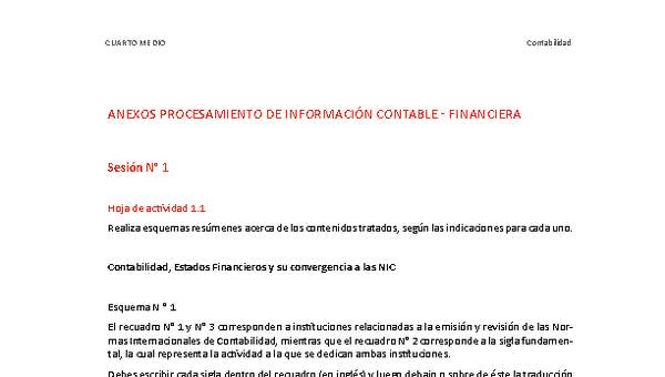 Anexo Procesamiento de información contable financiera