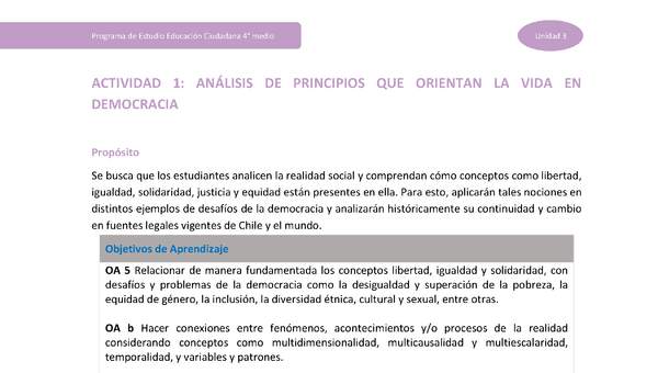 Actividad 1: Análisis de principios que orientan la vida en democracia