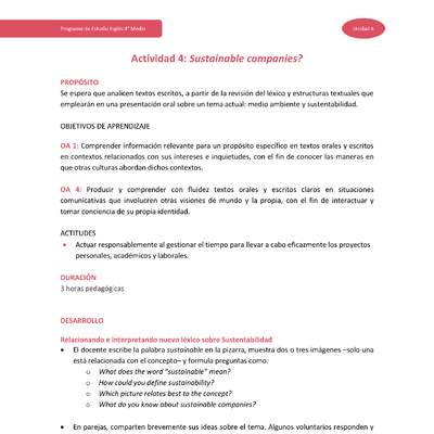 Actividad 4: Sustainable companies?