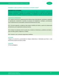 Actividad 3: ¿Qué es primero: la estructura o la función celular?