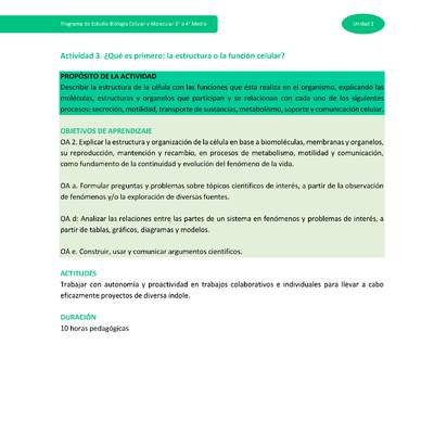 Actividad 3: ¿Qué es primero: la estructura o la función celular?