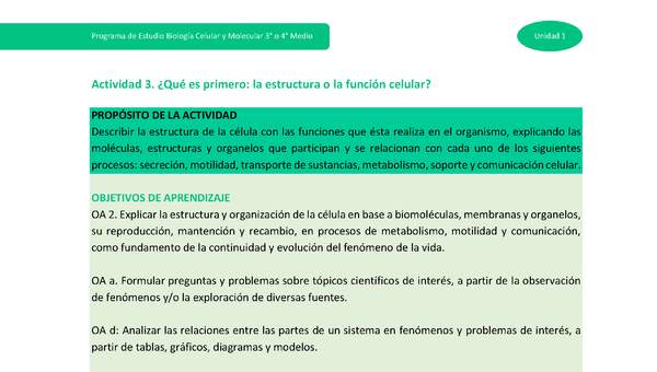 Actividad 3: ¿Qué es primero: la estructura o la función celular?