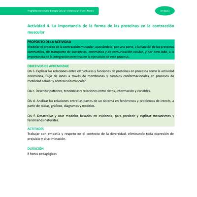 Actividad 4: La importancia de la forma de las proteínas en la contracción muscular