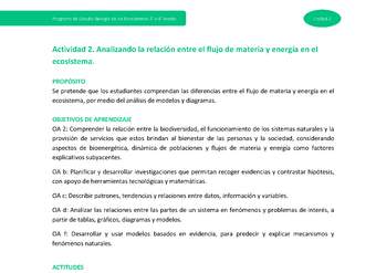 Actividad 2: Analizando la relación entre el flujo de materia y energía en el ecosistema