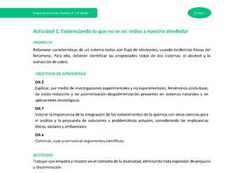 Actividad 1 - Evidenciando lo que no se ve: redox a nuestro alrededor