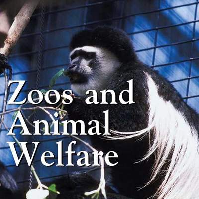 Zoos And Animal Welfare