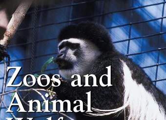 Zoos And Animal Welfare
