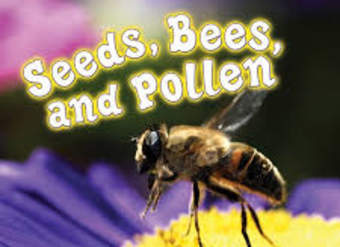 Seeds, Bees, and Pollen