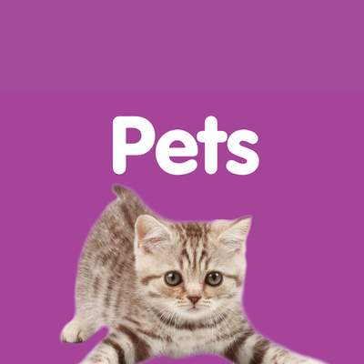 My First Playlist: Pets