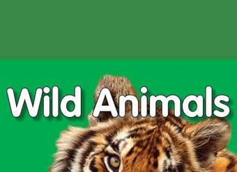 My First Playlist: Wild Animals