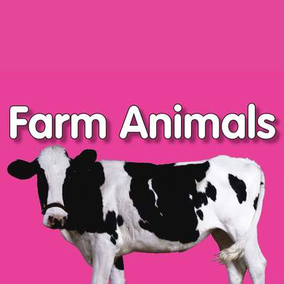 Farm Animals