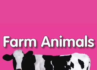 Farm Animals