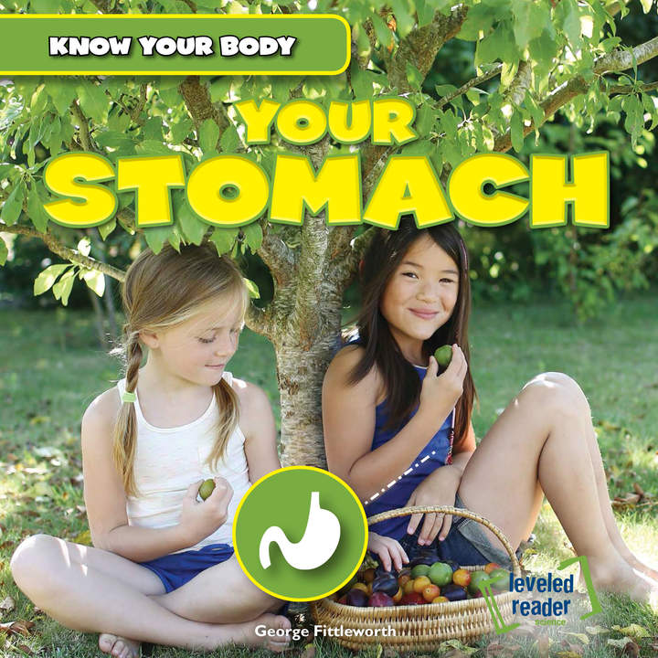 Your Stomach