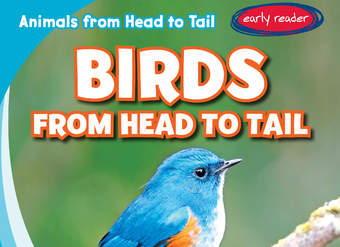 Birds from Head to Tail