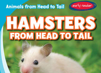 Hamsters from Head to Tail