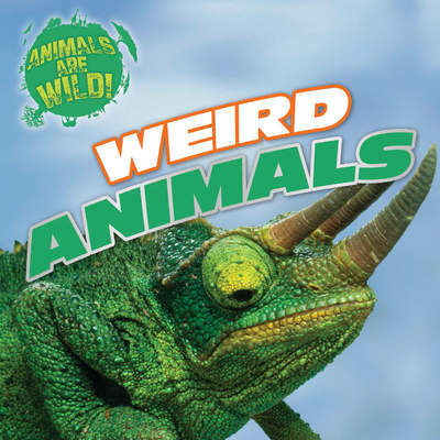 Weird Animals