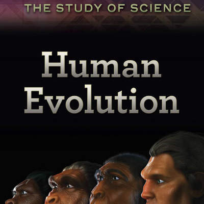 Human Evolution