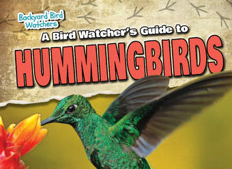 A Bird Watcher's Guide to Hummingbirds