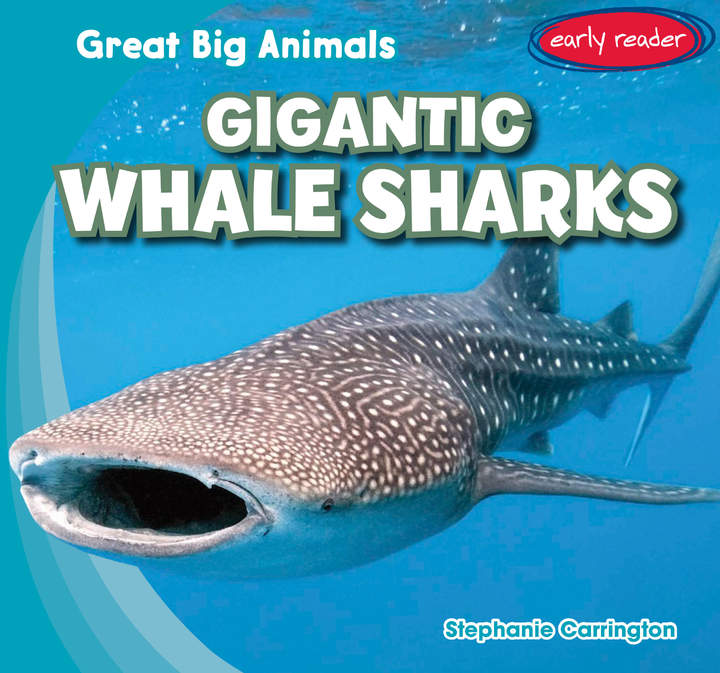Gigantic Whale Sharks