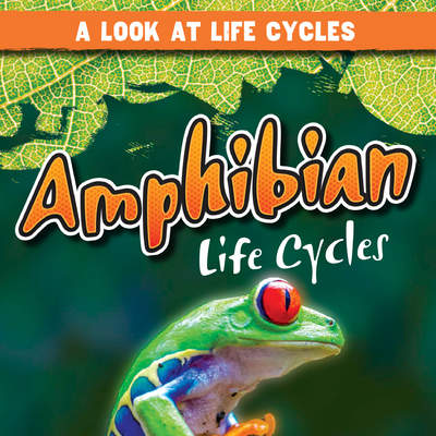 Amphibian Life Cycles