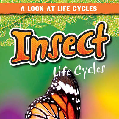 Insect Life Cycles