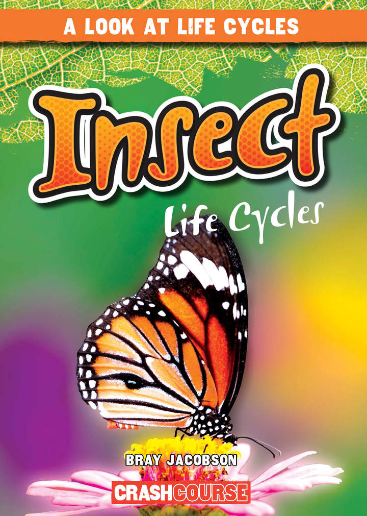 Insect Life Cycles