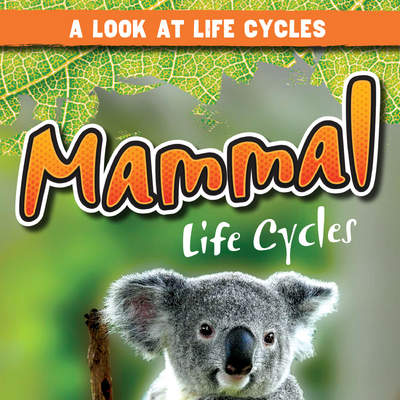 Mammal Life Cycles