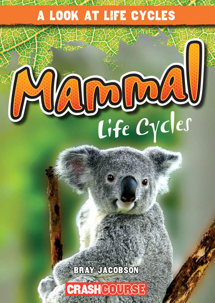 Mammal Life Cycles