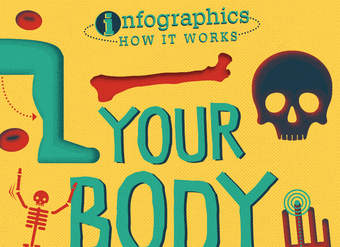 Your Body