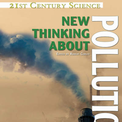 New Thinking About Pollution