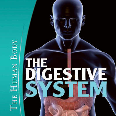 The Digestive System