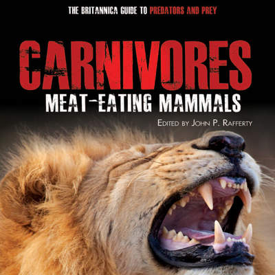 Carnivores