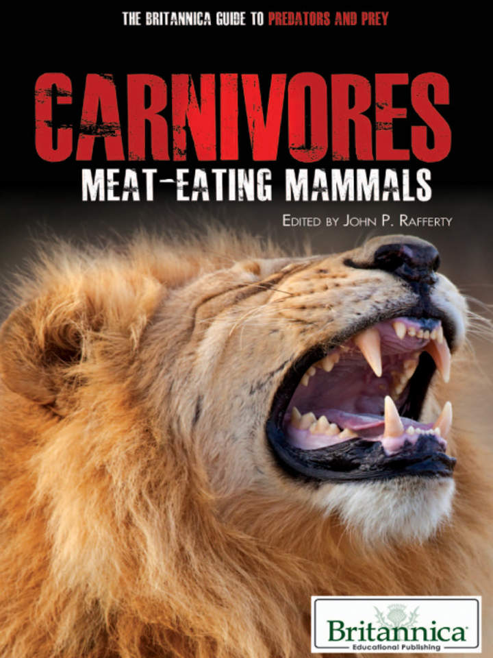 Carnivores