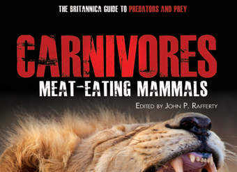 Carnivores