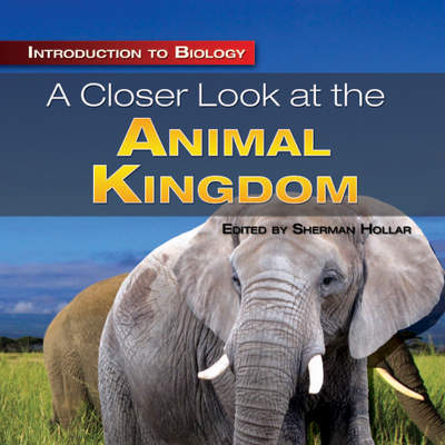 A Closer Look at the Animal Kingdom